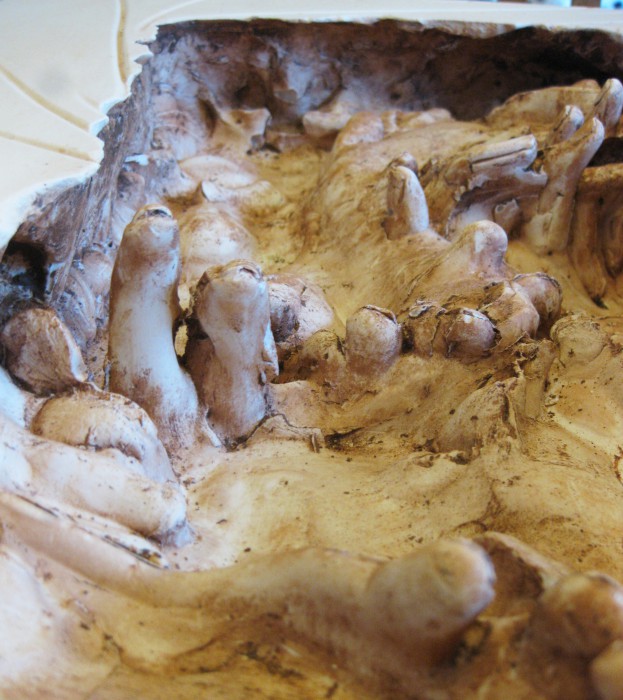 Ali Becoming detail of box 1